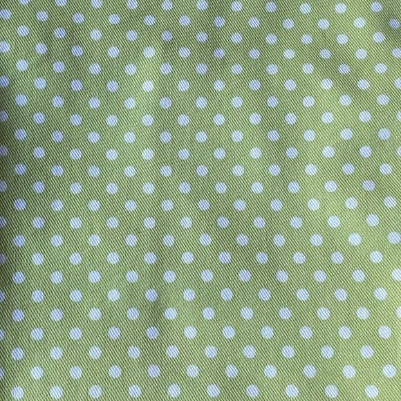 Pottery Barn Green white Dot Window Curtain Set - Picture 3 of 7